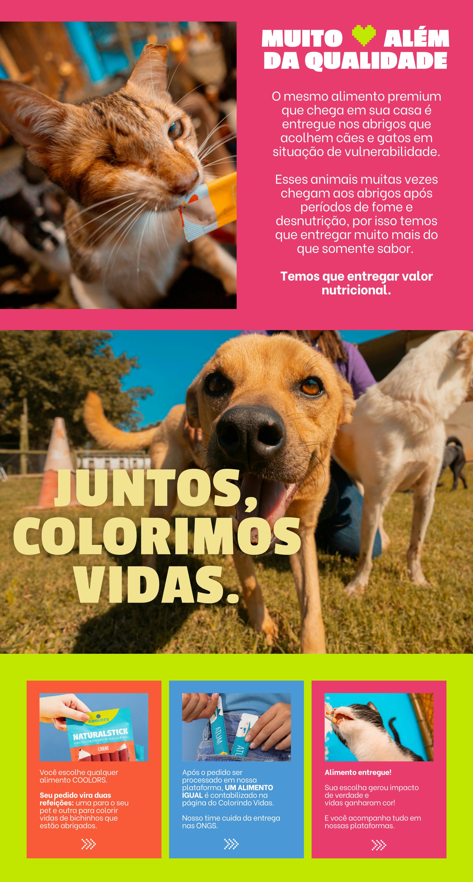 Muito além da qualidade. Juntos, colorimos vidas. Você escolhe qualquer alimento COOLORS, um alimento igual é contabilizado e entregue nas ONGs parceiras.