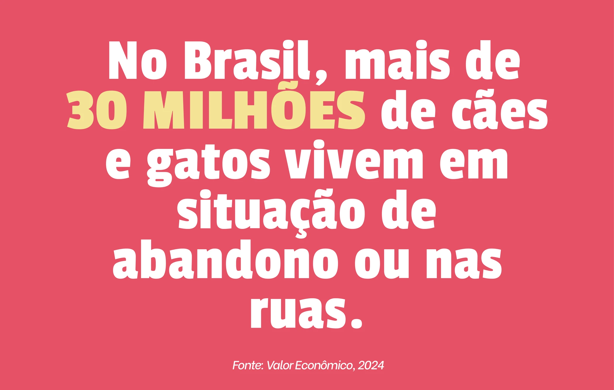No Brasil, mais de 30 milhões de cães e gatos vivem em situação de abandono ou nas ruas. Fonte: Valor Econômico, 2024