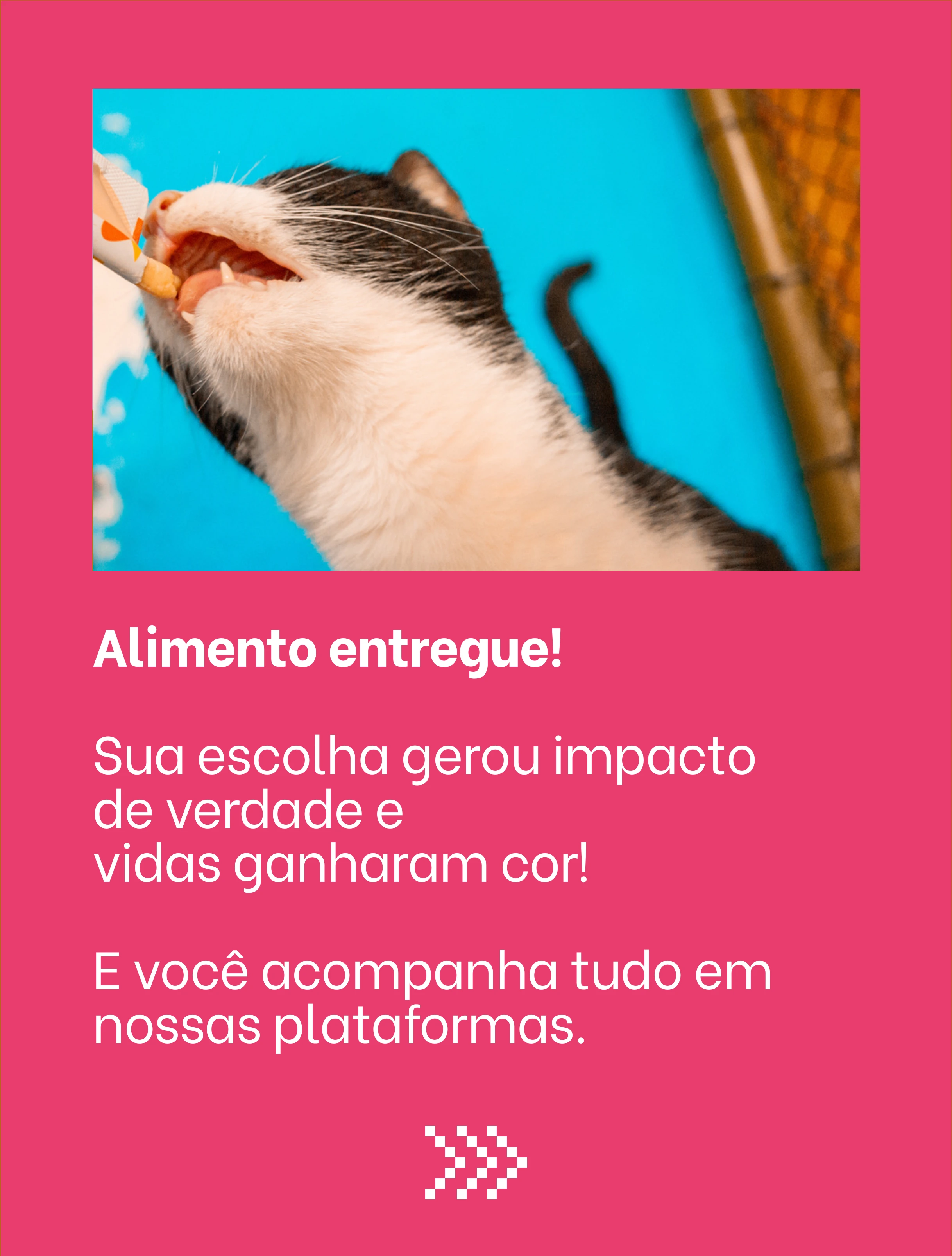 Alimento entregue! Sua escolha gerou impacto de verdade e vidas ganharam cor. E você acompanha tudo em nossas plataformas.