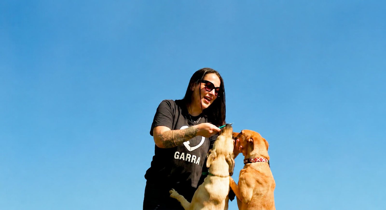 Vídeo: voluntária da GARRA alimentando dois cães resgatados
