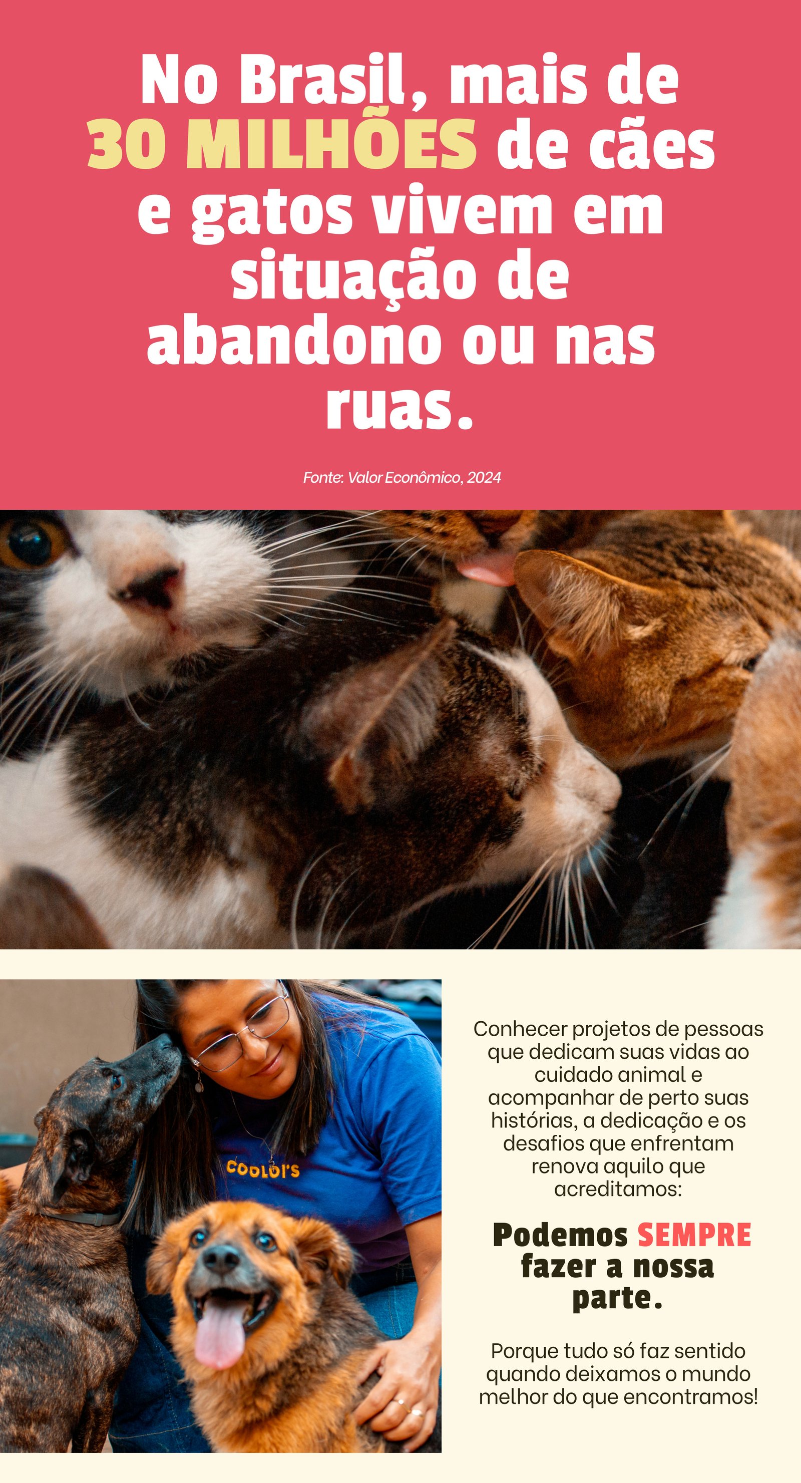 No Brasil, mais de 30 milhões de cães e gatos vivem em situação de abandono ou nas ruas. Fonte: Valor Econômico, 2024. Podemos sempre fazer a nossa parte.